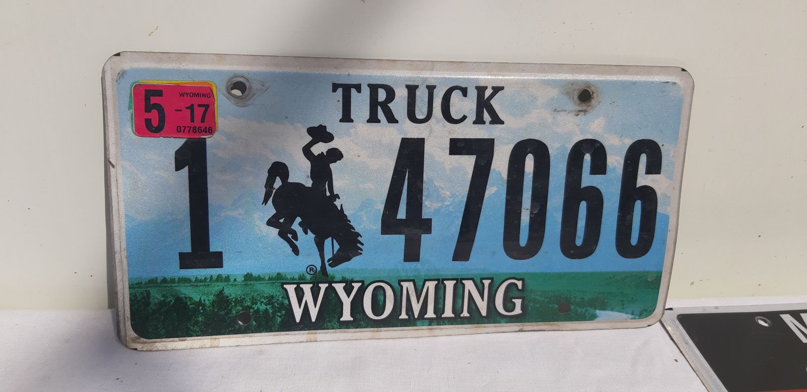 8 American License Plates In Tole photo furniture