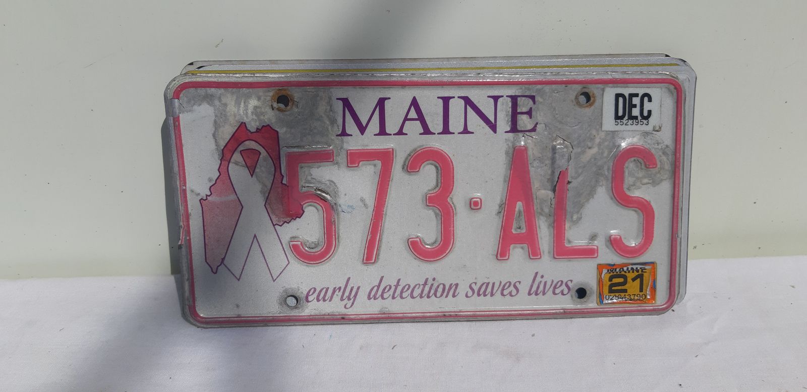 8 American License Plates In Tole photo vinterior