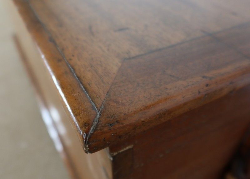 Mahogany Travel Trunk   2nd Half Of The 19th Century photo vinterior