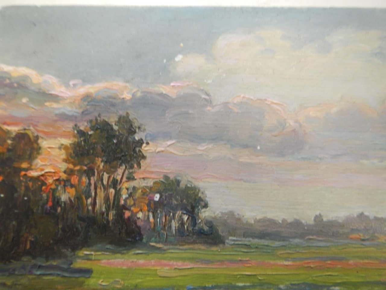 Oil Painting By Des Champs " Coucher De Soleil" photo buy