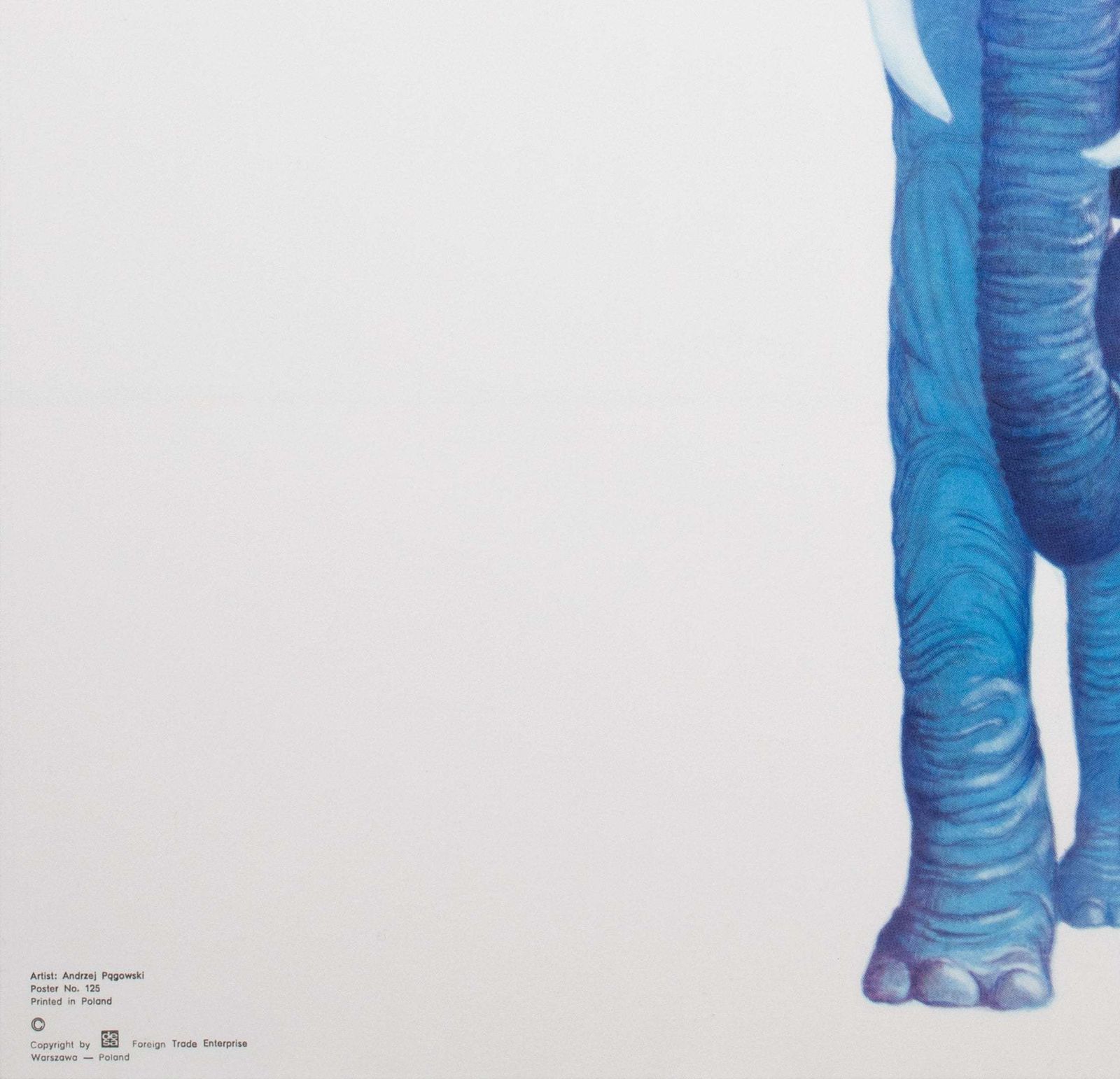 Cyrk Elephant Butterfly 1979 Polish Circus Poster, Pagowski photo buy