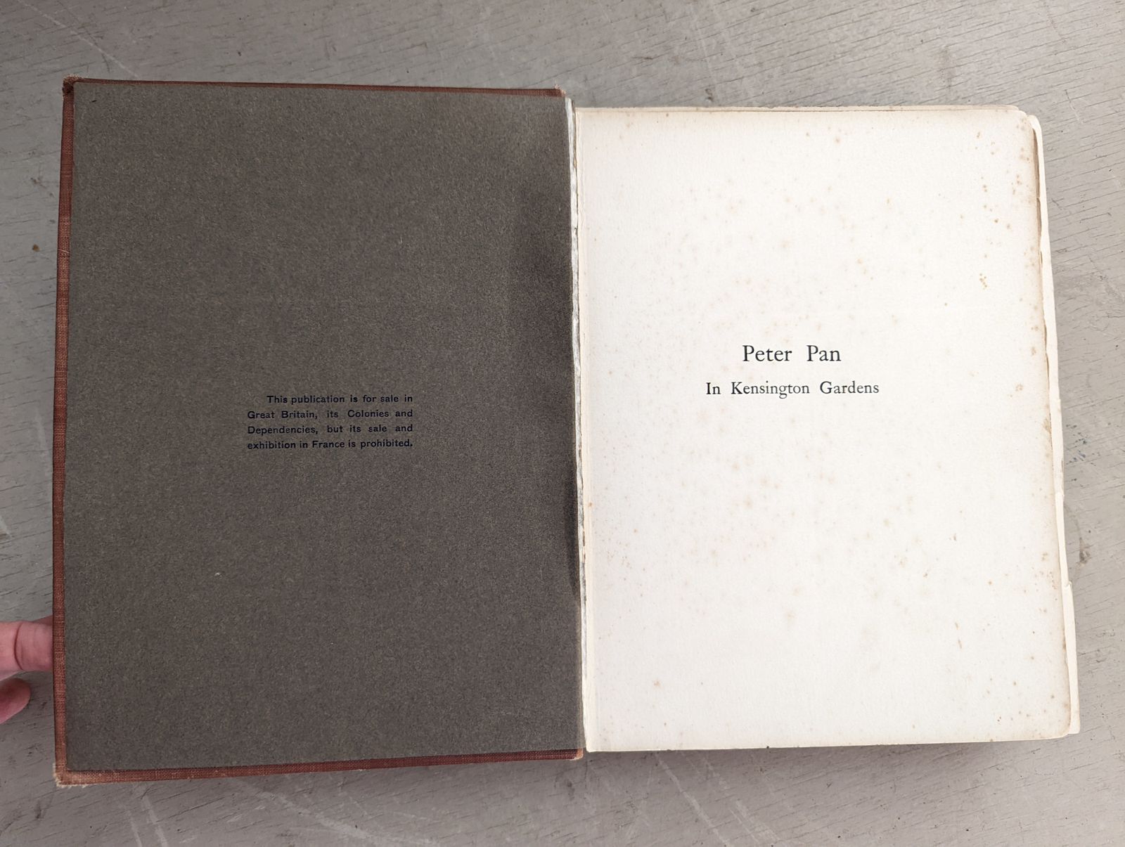 Collectable Classic Book   Peter Pan In Kensington Gardens photo vinterior