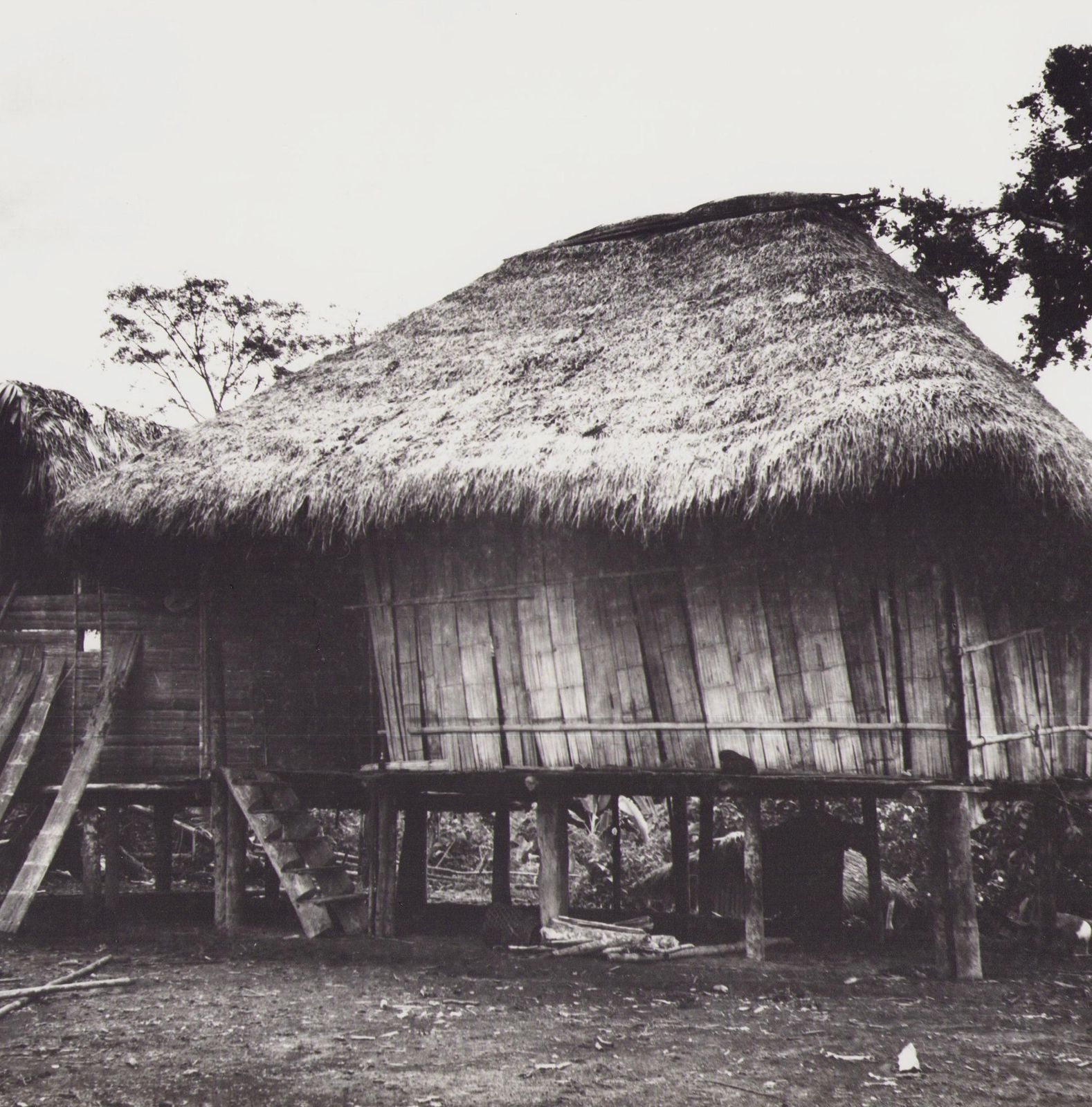 Hanna Seidel Ecuador, Indigenous Hut, Black And White Photography, 1960s, Ca. 1960s photo furniture