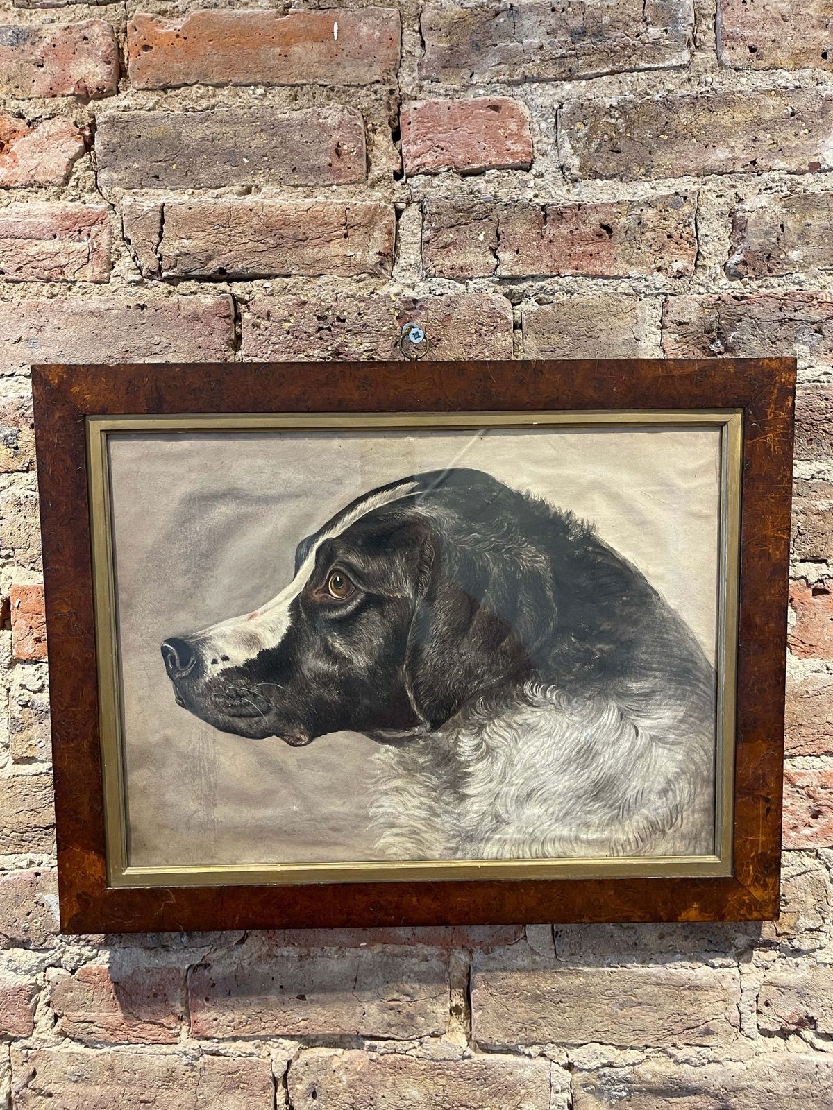 Rare Early Antique Watercolour Of Dog By Sought After/Collected French Artist Paul Allier Paris 1883   1953 photo 3850.0