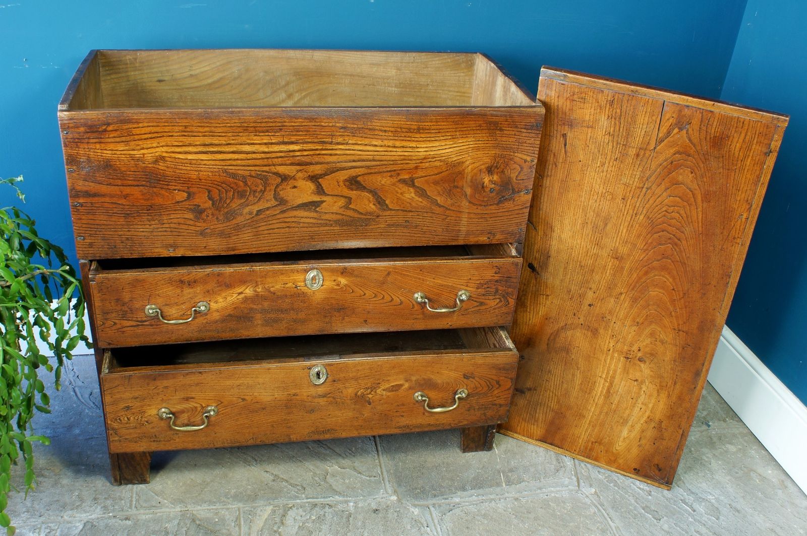 1150.0 Georgian Elm Mule Chest. photo