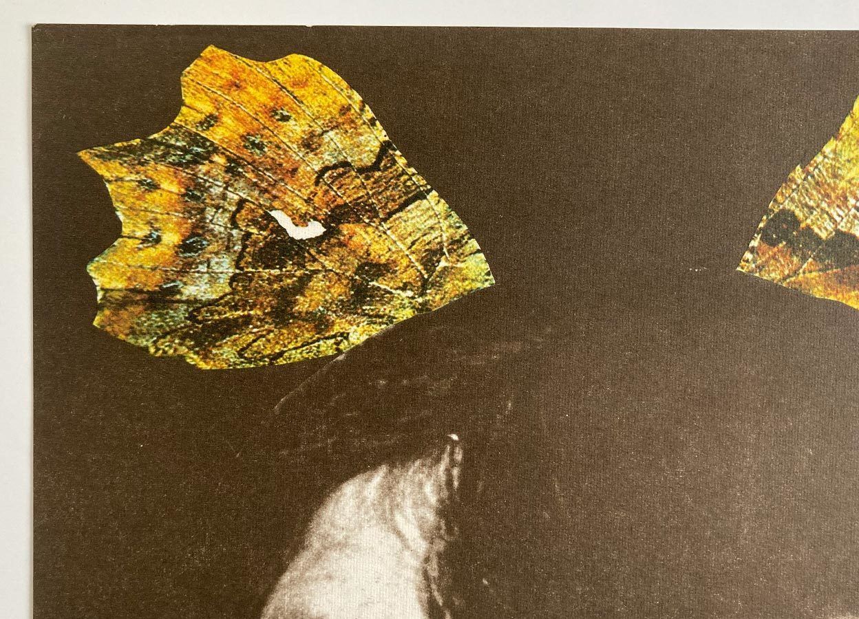 Original Film Poster, Golden Autumn, Karel Teissig, 1981, Genuine Czech Vintage Print photo Art