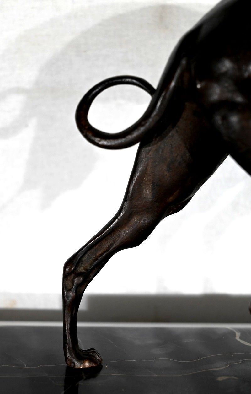 photo for sale Subject In Cast Iron With Brown Patina The Greyhound  Late 19th Century