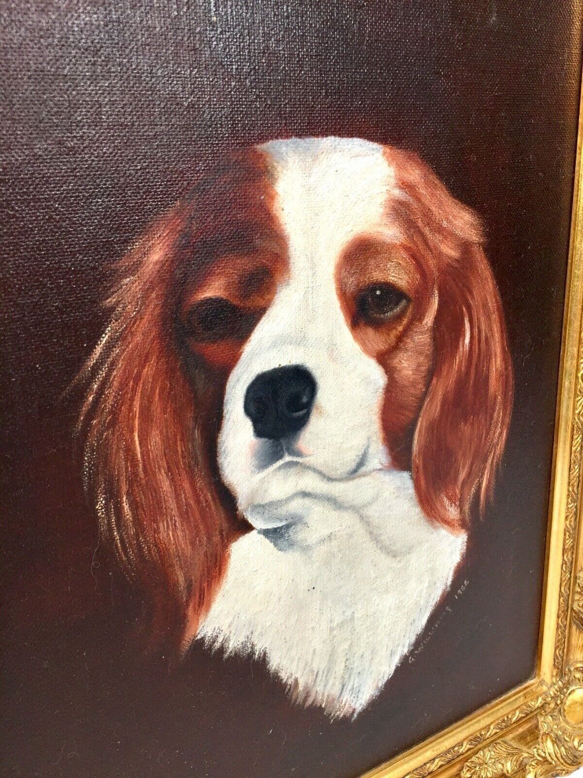 Vintage Framed Blenheim Cavalier King Charles Spaniel Dog Oil Painting On Canvas photo Art