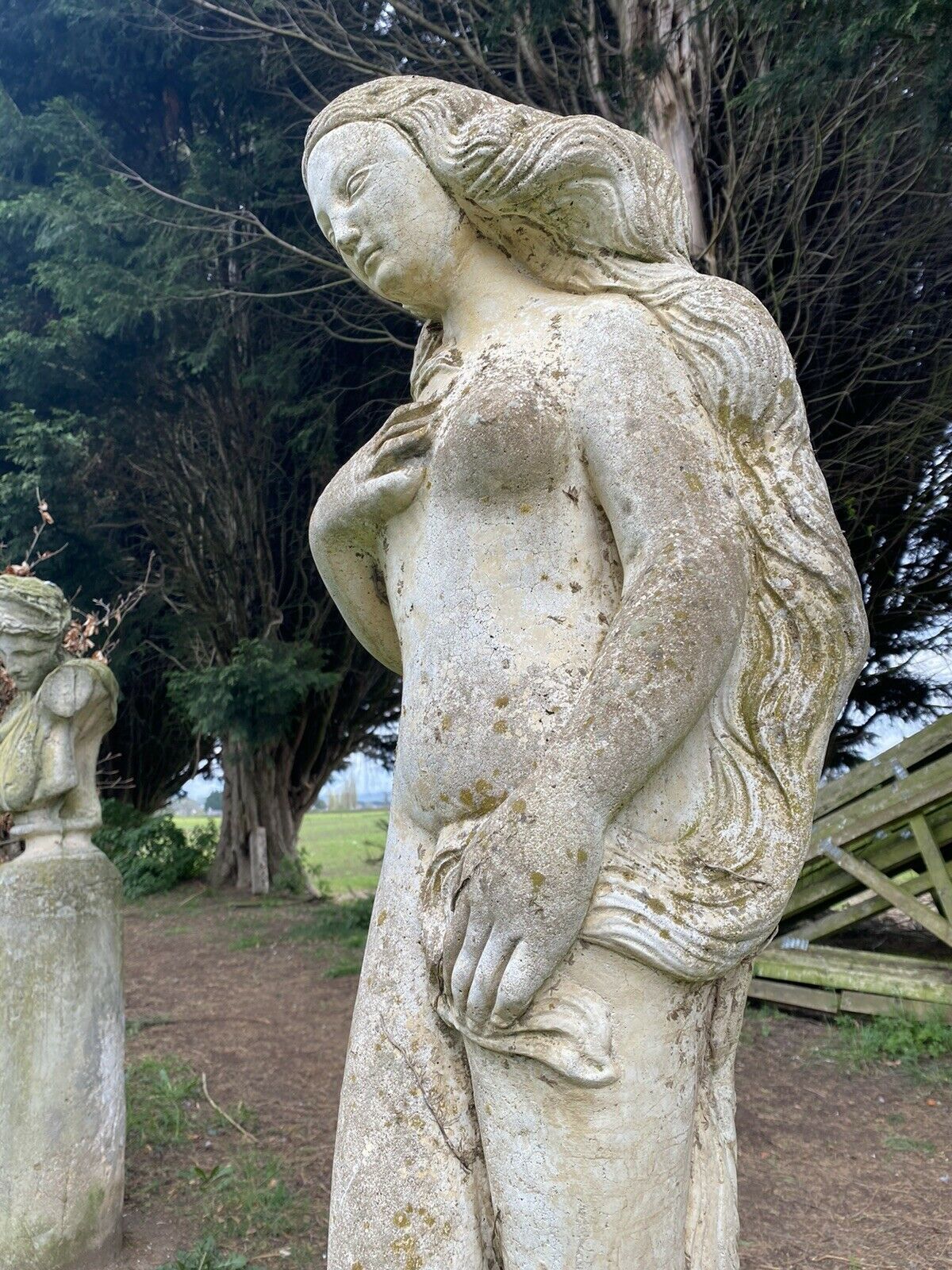 Roman Mythology Birth Of Venus After Sandro Botticelli Garden Sculpture photo 385.0