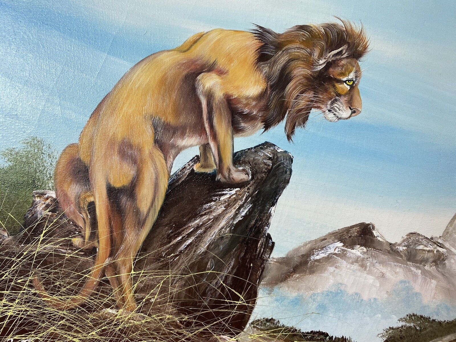 20th Century Lion Oil Artwork 'Leader Of The Pride' Signed J Thompson photo 495.0