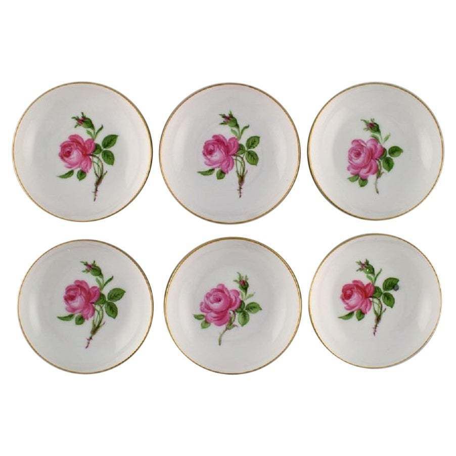 Six Small Meissen Pink Rose Bowls In Hand Painted Porcelain With Gold Edge