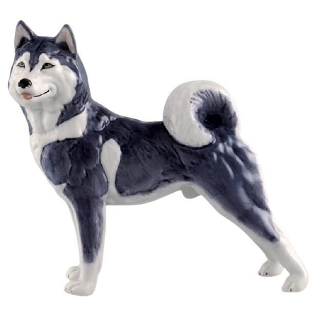 Royal Copenhagen Porcelain Figurine Siberian Husky Model Number 038