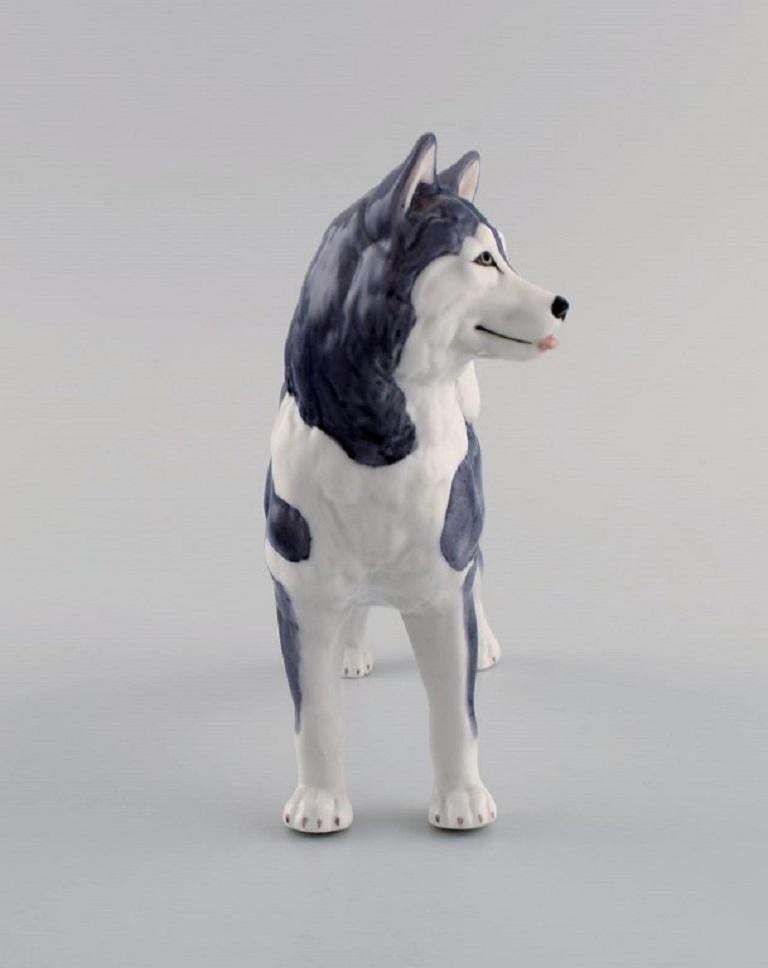 Royal Copenhagen Porcelain Figurine Siberian Husky Model Number 038 photo 216.0
