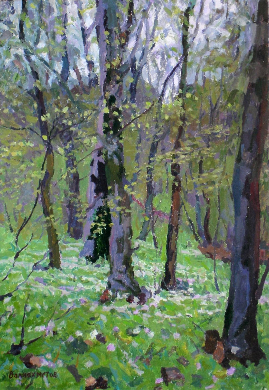 Valiahmetov Amir Hasnulovitch Spring In The Forest. 1978, Oil On Cardboard