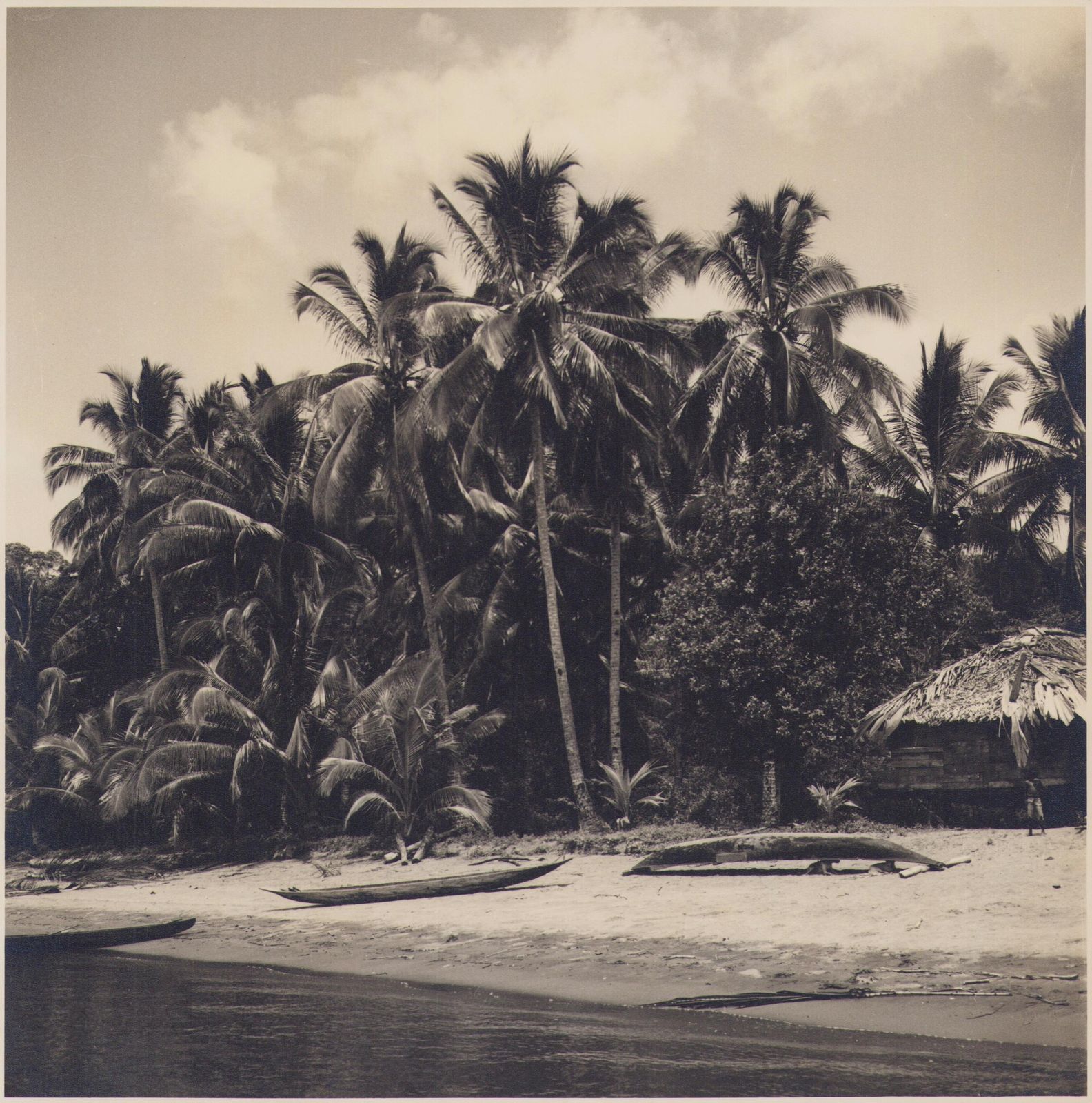 Hanna Seidel Colombia, Palm Trees, Beach, Black And White Photograph Circa 1960s