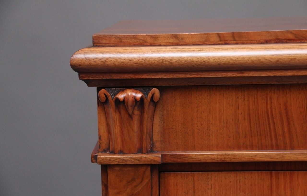 Early 19th Century Antique Regency Walnut Wellington Chest photo buy