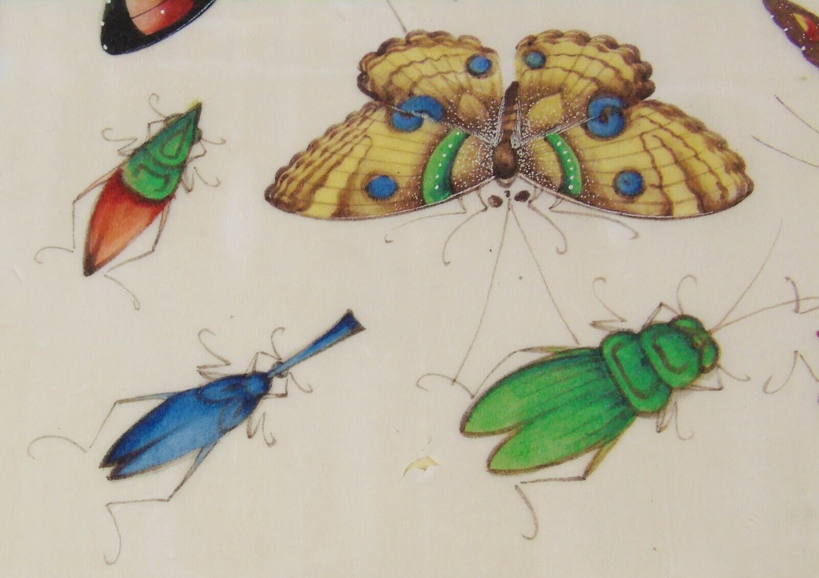 Good 19th Century Chinese Pith Painting Butterflies & Insects photo vinterior