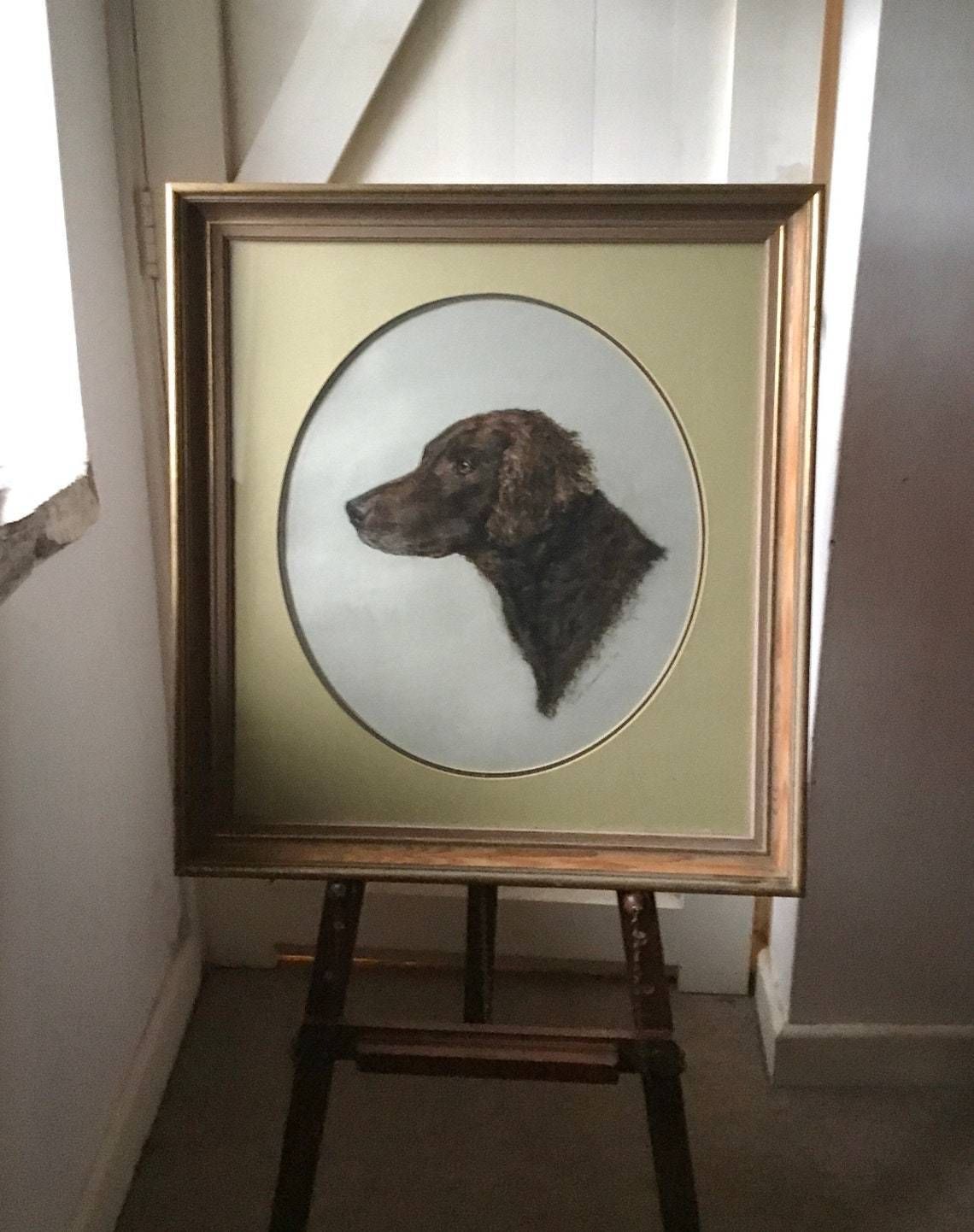 Portrait Of A Dog  Retriever Or Spaniel In Pastels In Original Frame 1970s photo furniture