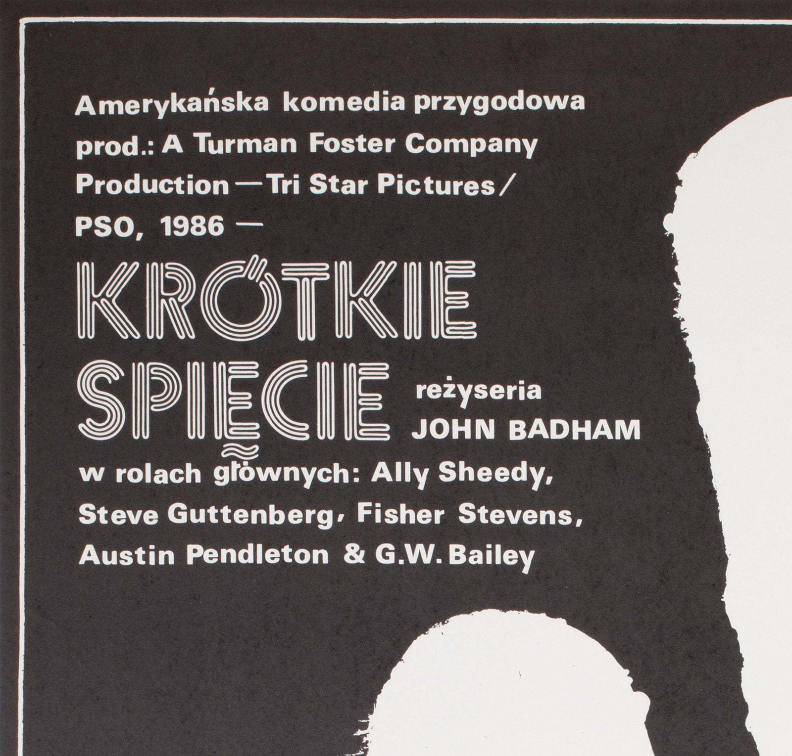 Short Circuit 1988 Polish B1 Film Poster, Jakub Erol photo for sale