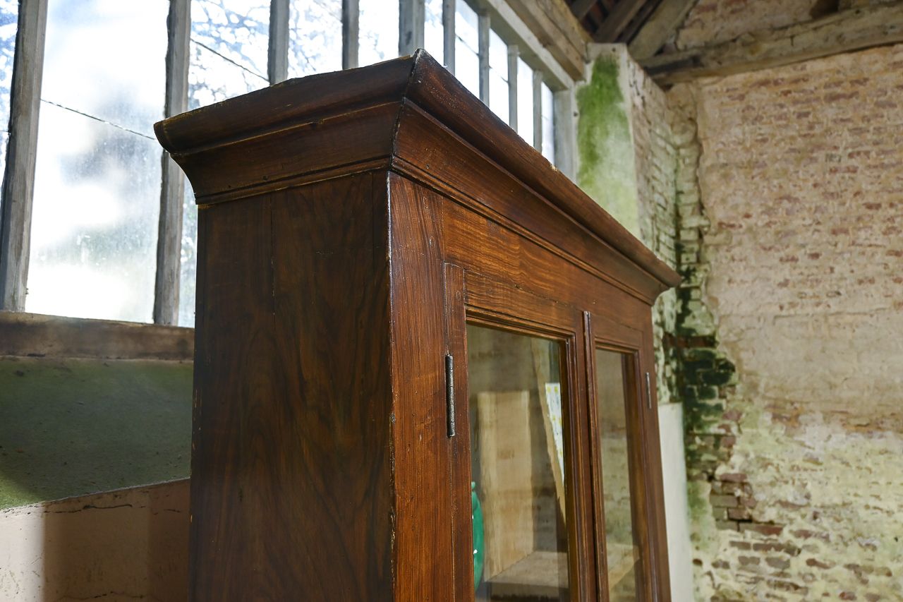 Tall 19th Century French Glazed Faux Bois Rosewood Cabinet photo for sale