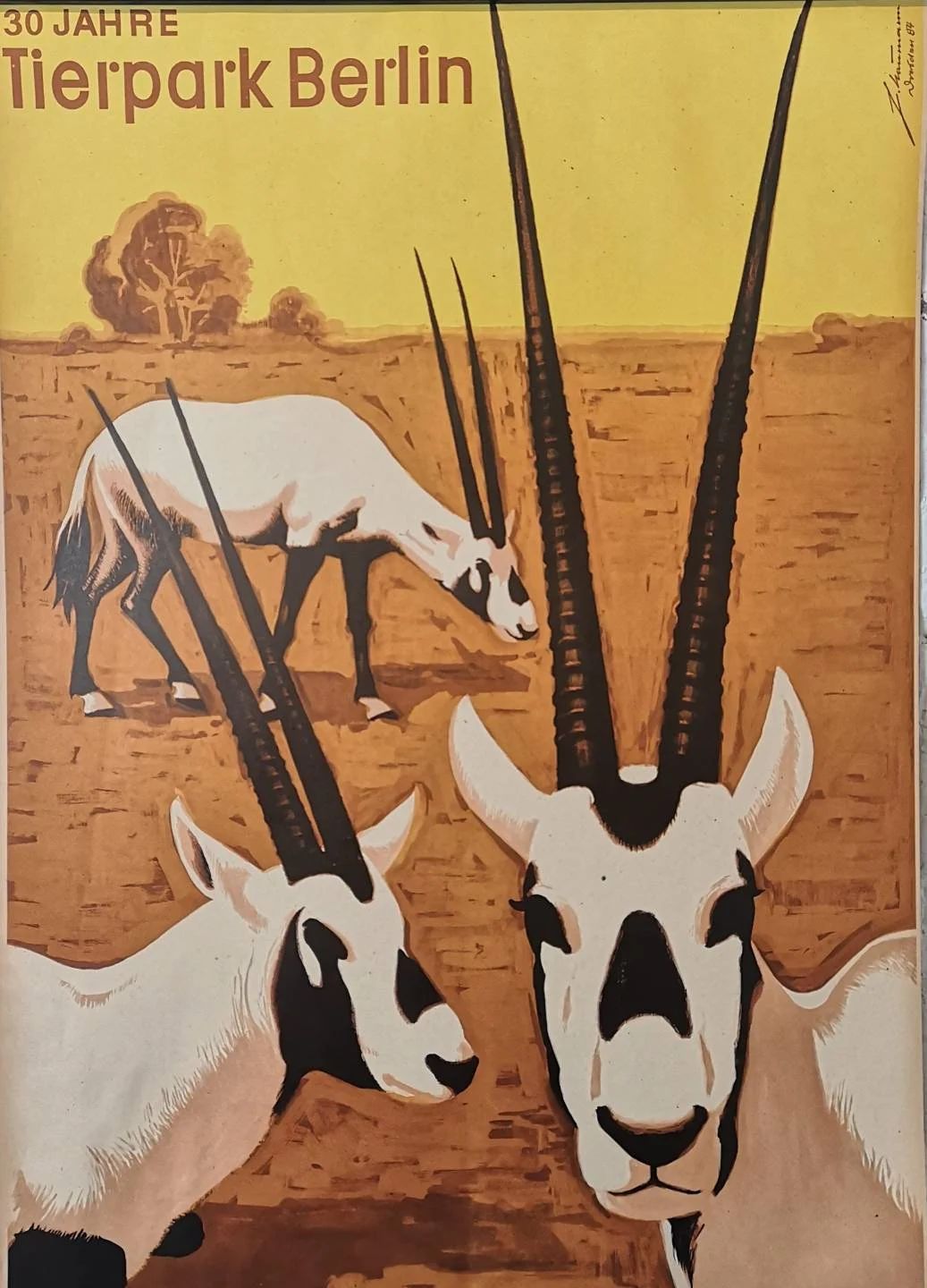 Vintage 1980s Tierpark Berlin Original Zoo Poster Advertising Of A Herd Of Ibex Celebrating 30 Years photo for sale