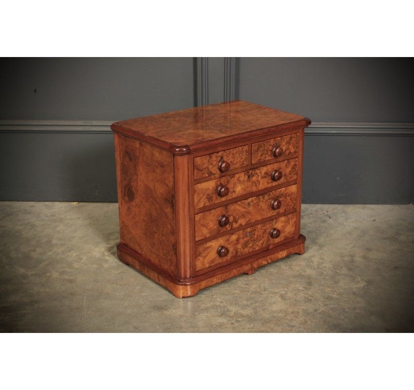 Miniature Burr Walnut Apprentice Chest Of Drawers photo for sale