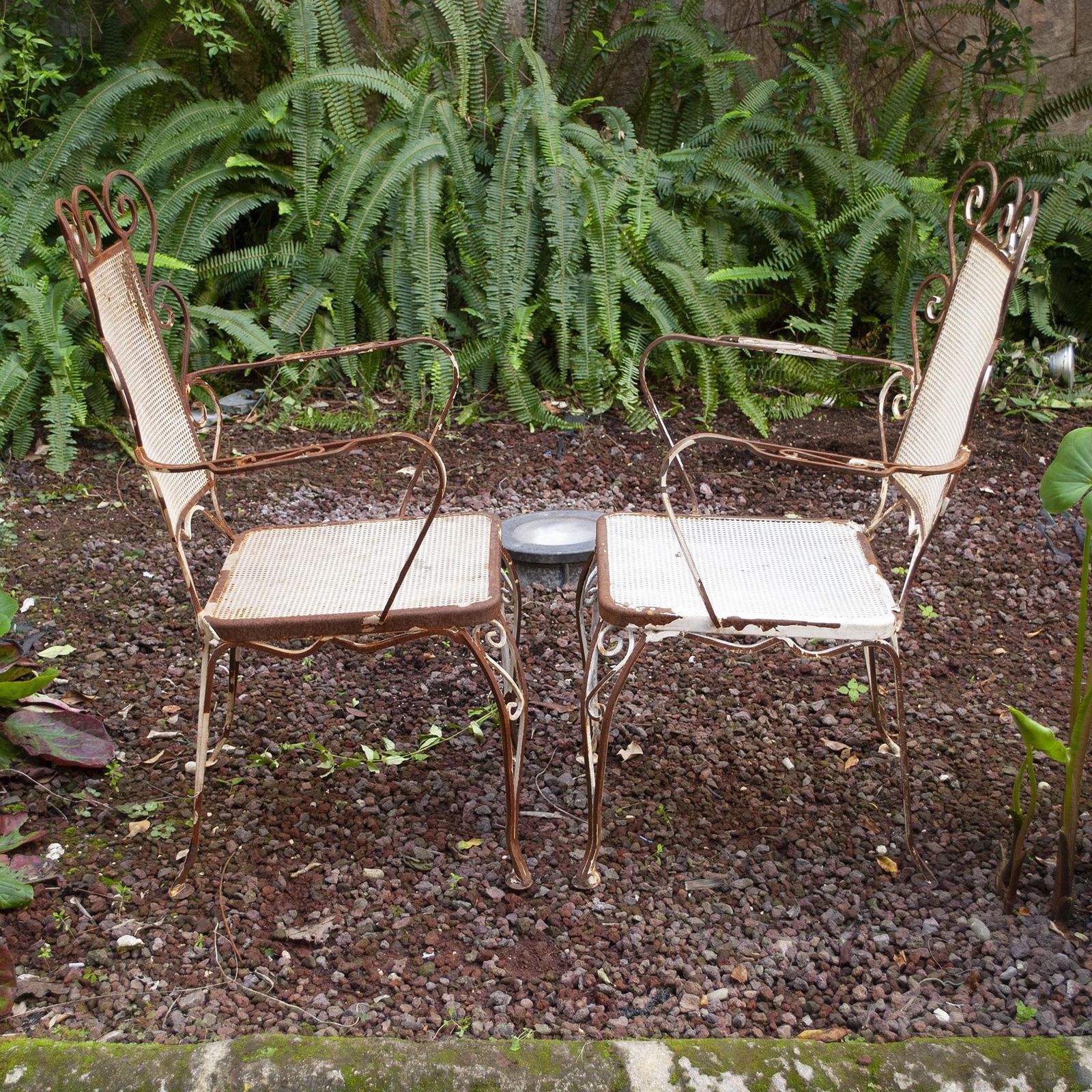 1981.52 Wrought Iron Chairs From The 1950s Casa E Giardino photo