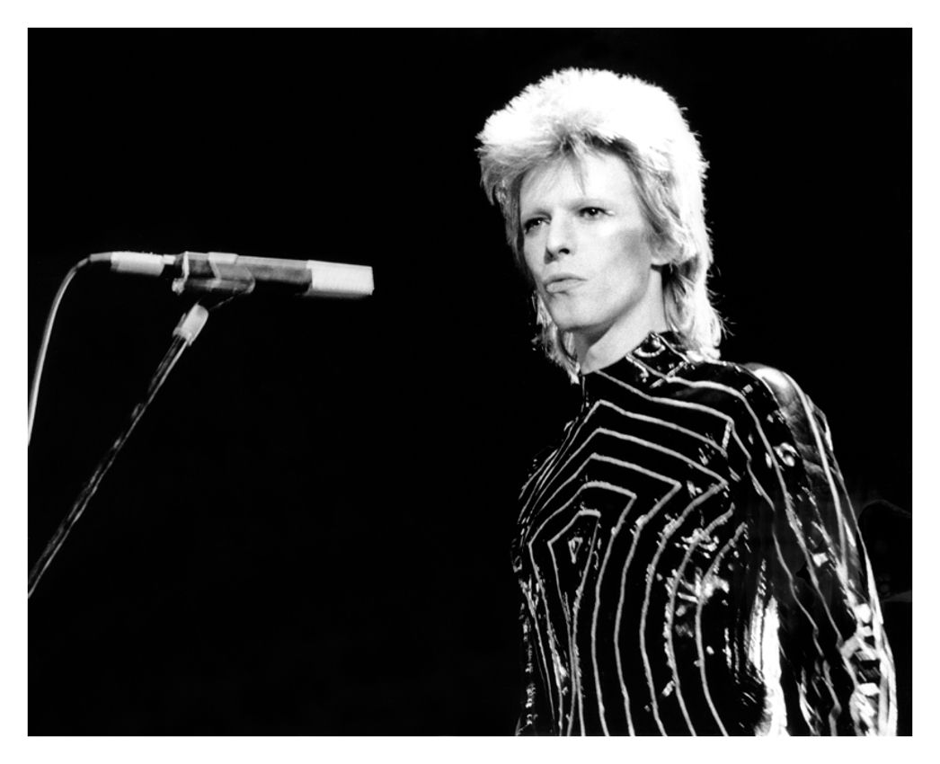 Ziggy Stardust 12x16" Silver Gelatin Fibre Print