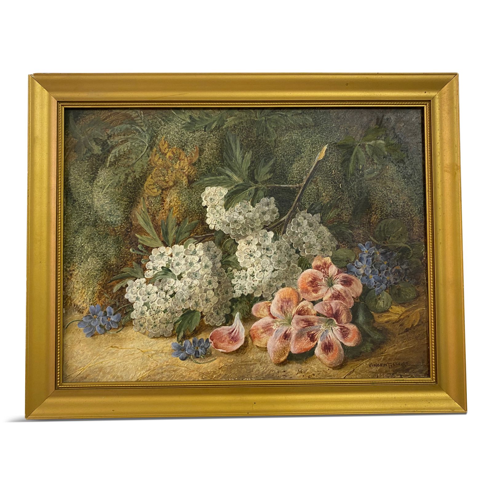 Botanical Still Life Oil On Canvas By Vincent Clare