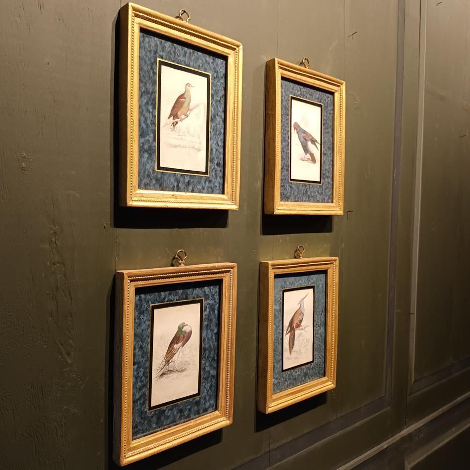 photo for sale A Set Of 19th Century Framed Bird Engravings By Edward Lear