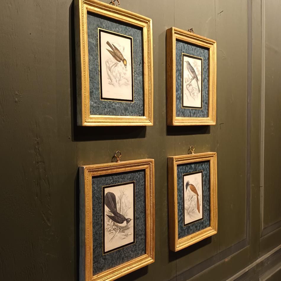 photo for sale A Set Of 19th Century Framed Bird Engravings By William Swainson