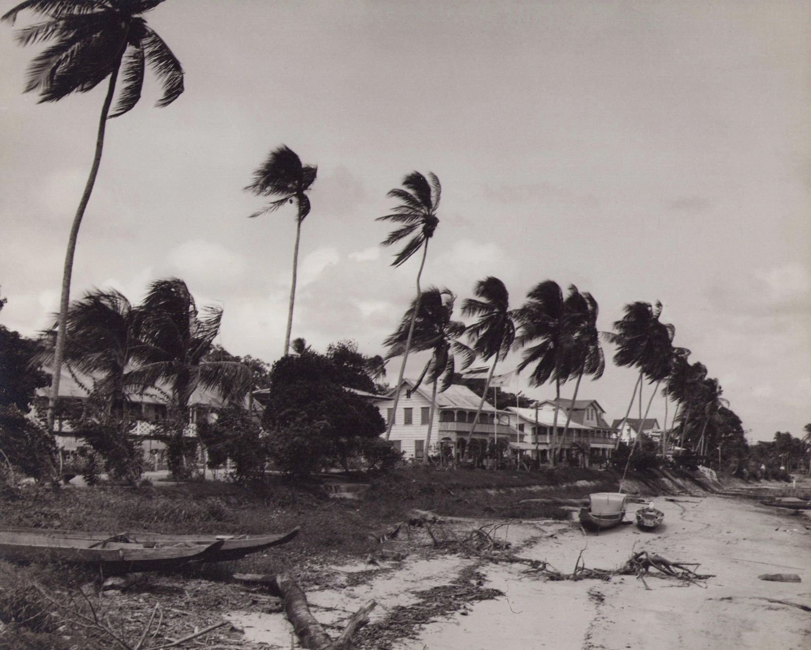 Hanna Seidel Suriname, River, Palm Trees, Black And White Photograph, 1960s, 23.5 X 29.1 Cm Ca. 1960s