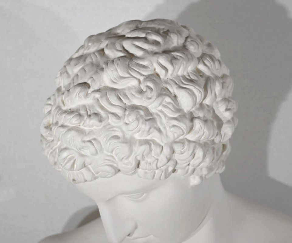 Bust Of Antinoüs On Column Set   Late 19th Century photo buy