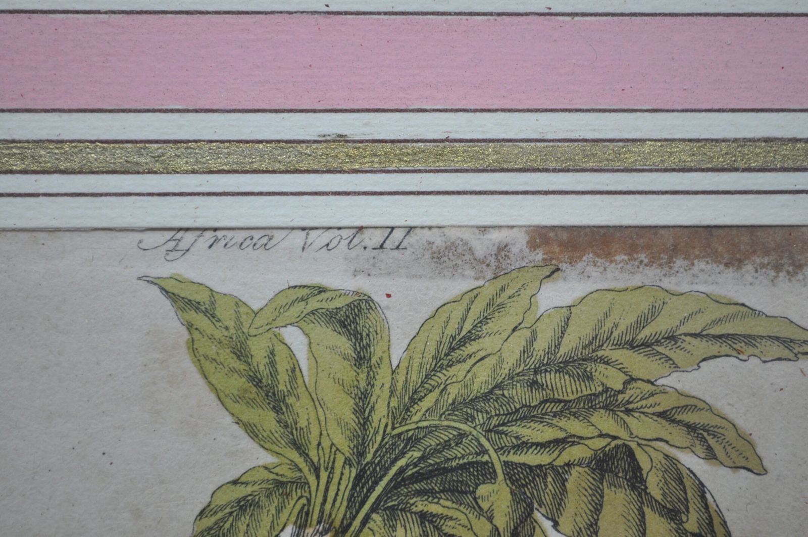 World History Print, Capo Verde, Antique photo 55.0