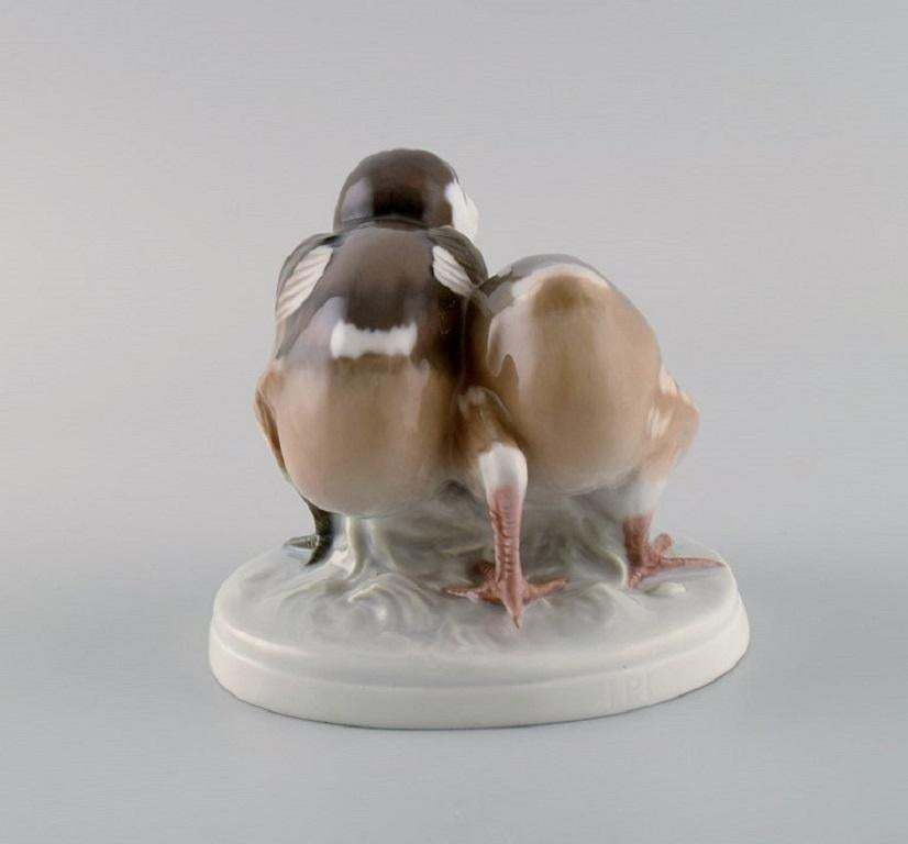 Rare Bing & Grøndahl Porcelain Figure, Two Birds, Model Number 1778 photo for sale