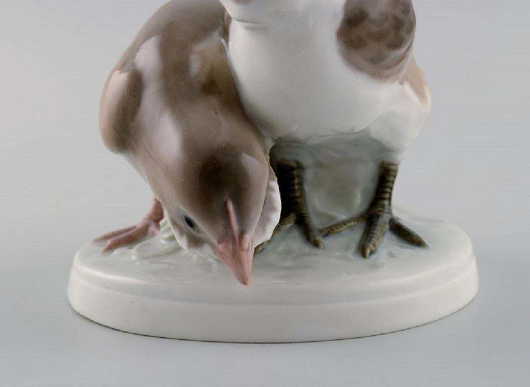 Rare Bing & Grøndahl Porcelain Figure, Two Birds, Model Number 1778 photo 586.0