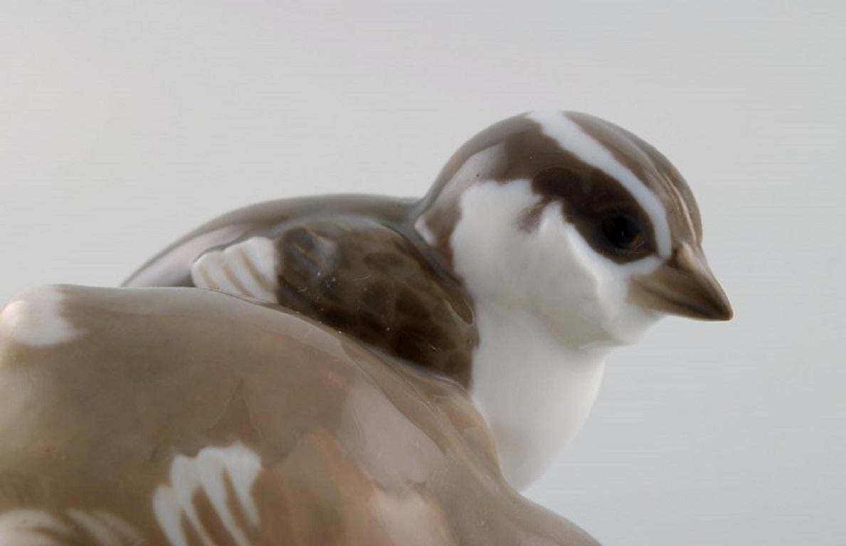 Rare Bing & Grøndahl Porcelain Figure, Two Birds, Model Number 1778 photo vinterior