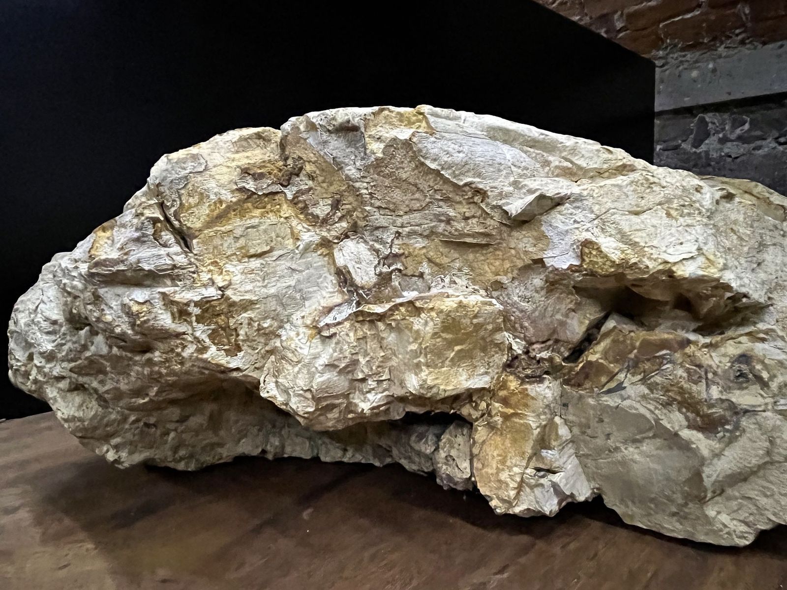 Home Decor Petrified Wood Sink Organic Modern In Grey/ Beige/ Brown Tones, Top Quality photo