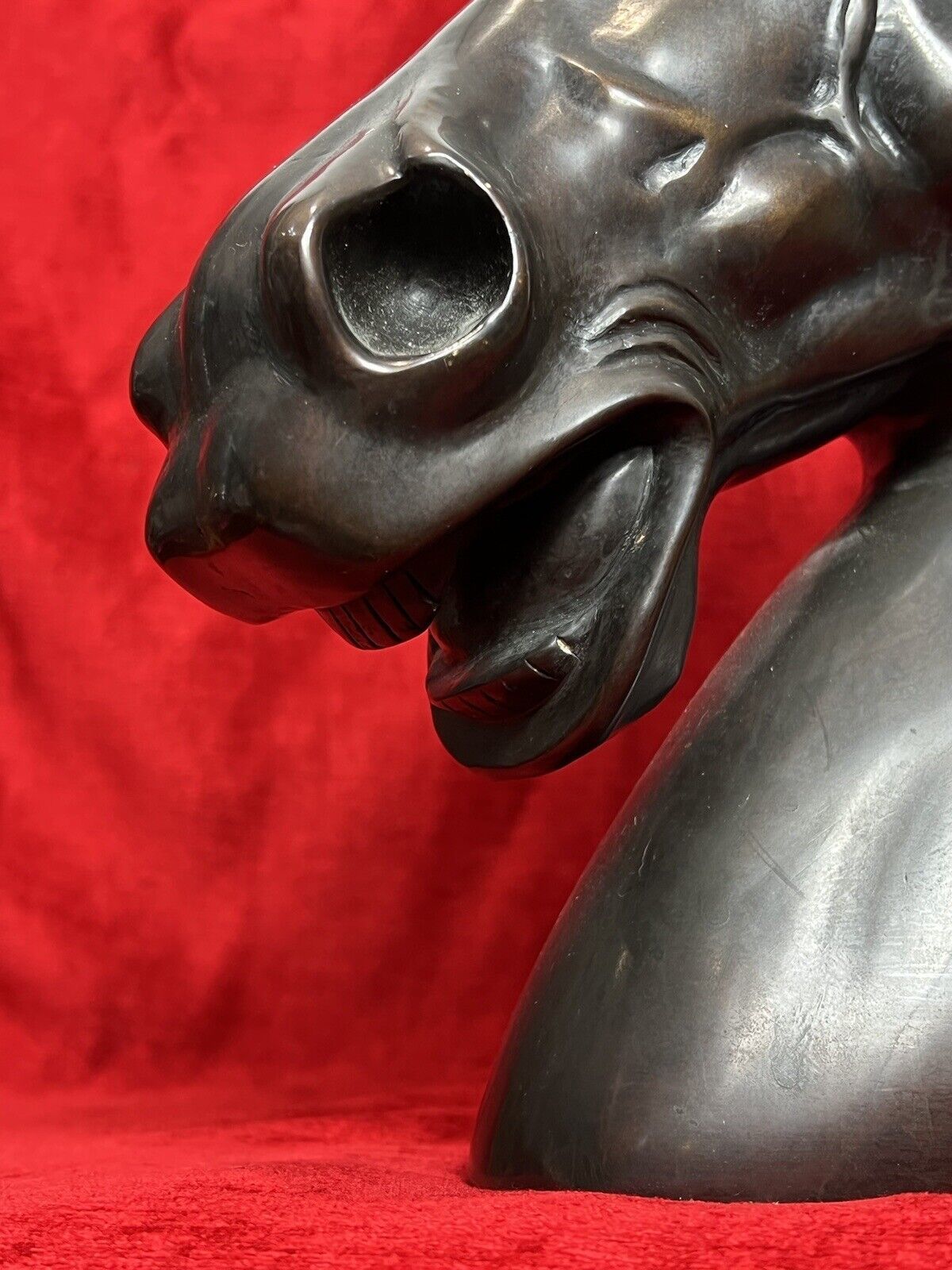 photo for sale Early 20th Century Large Bronze Horse Head Showpiece