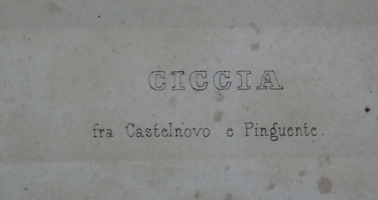 Ciccia Tischbein Lithography Portrait Castelnovo Pinguente 1842 photo for sale