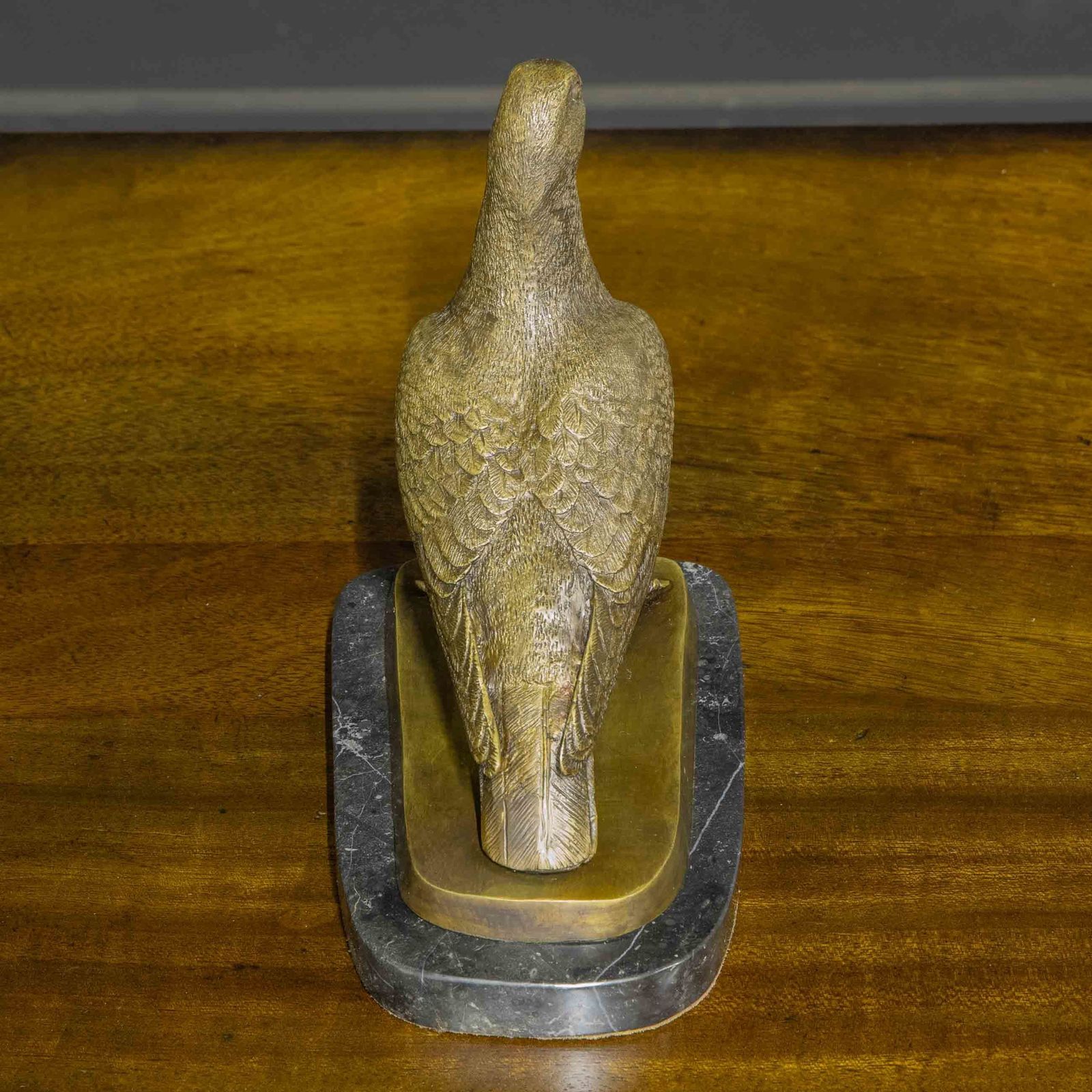 Bronze Racing Pigeon photo for sale