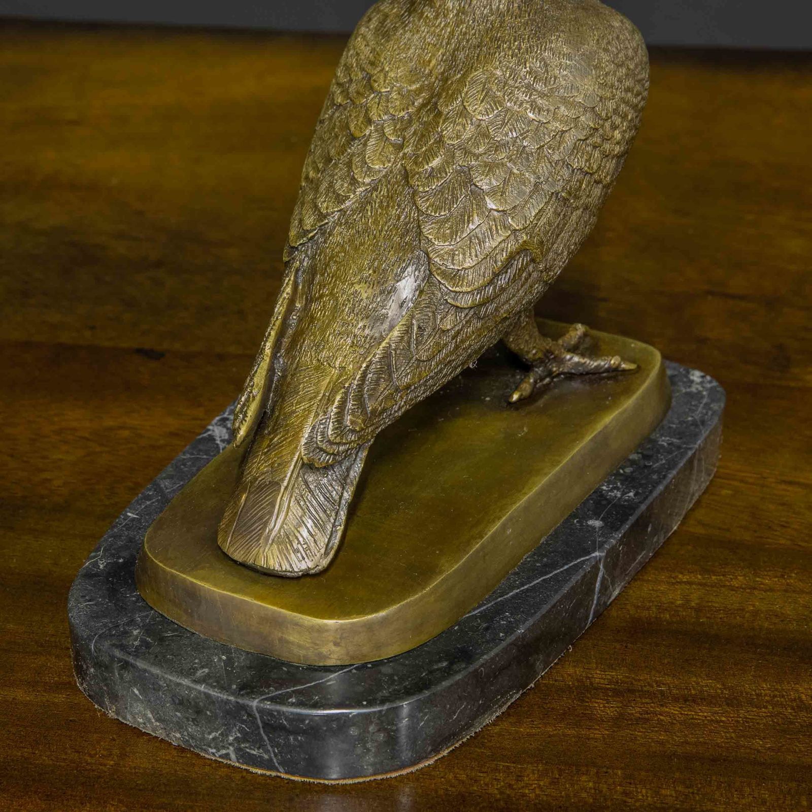 Bronze Racing Pigeon photo vintage