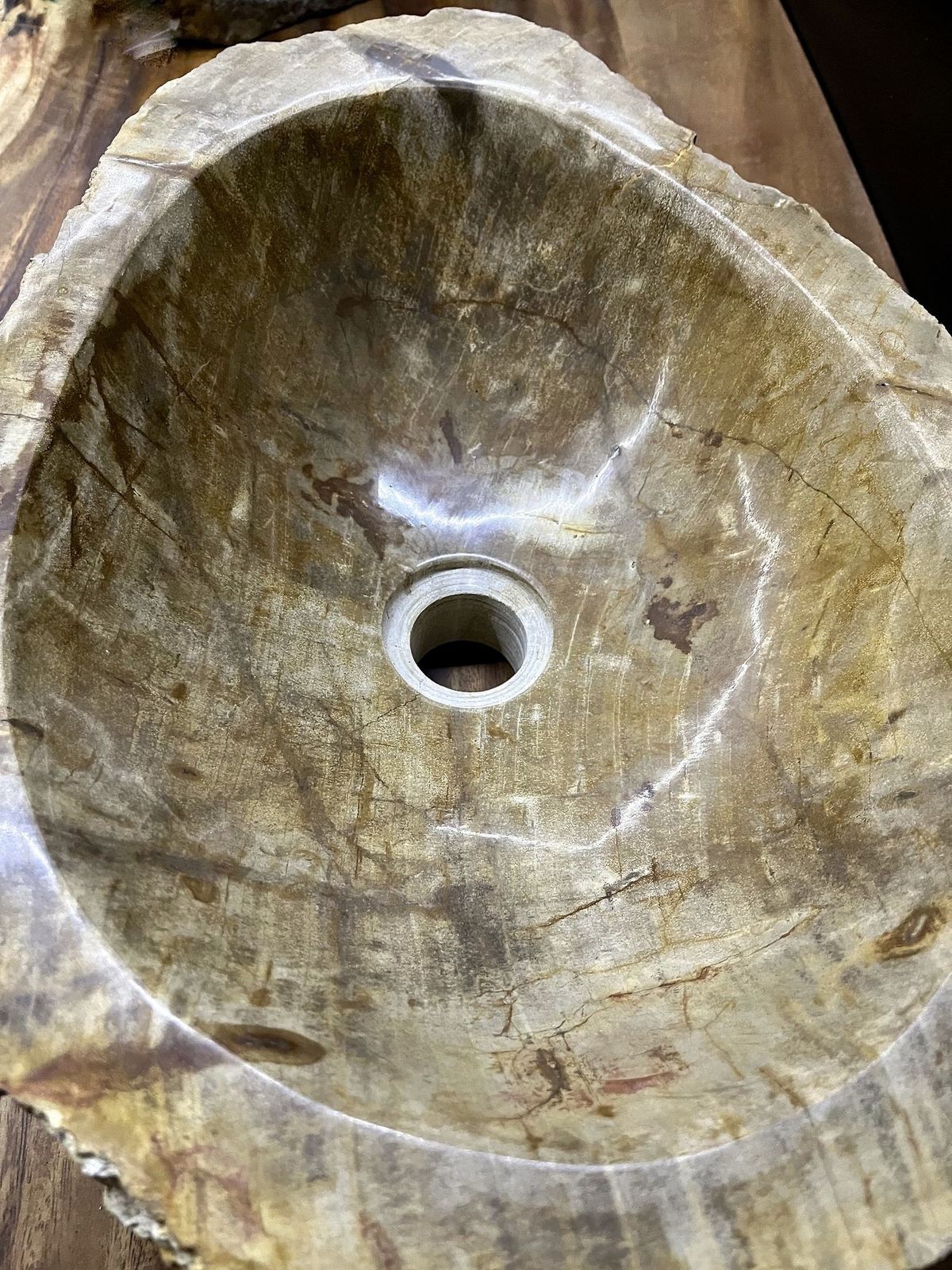 Petrified Wood Sink In Beige/ Brown/ Grey Tones  Organic Modern, Top Quality photo 1730.0