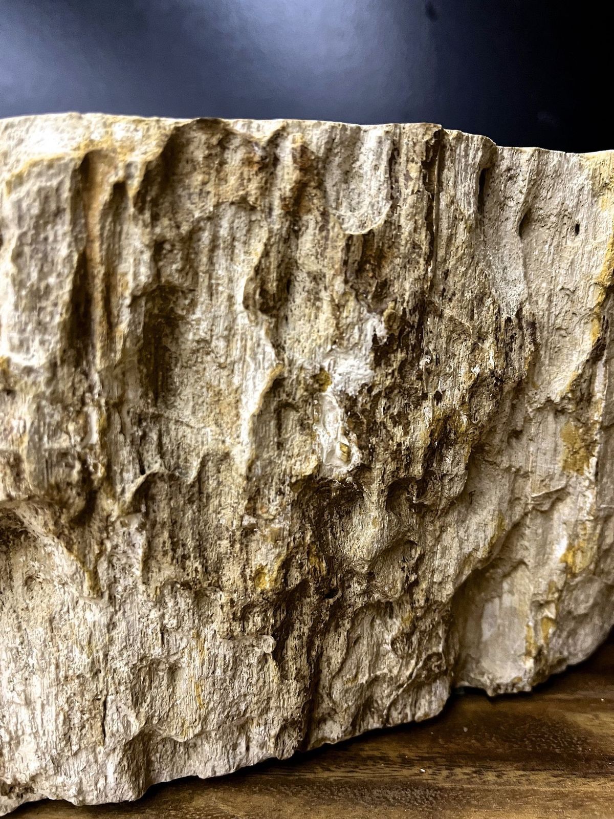 photo for sale Petrified Wood Sink In Beige/ Brown/ Grey Tones  Organic Modern, Top Quality
