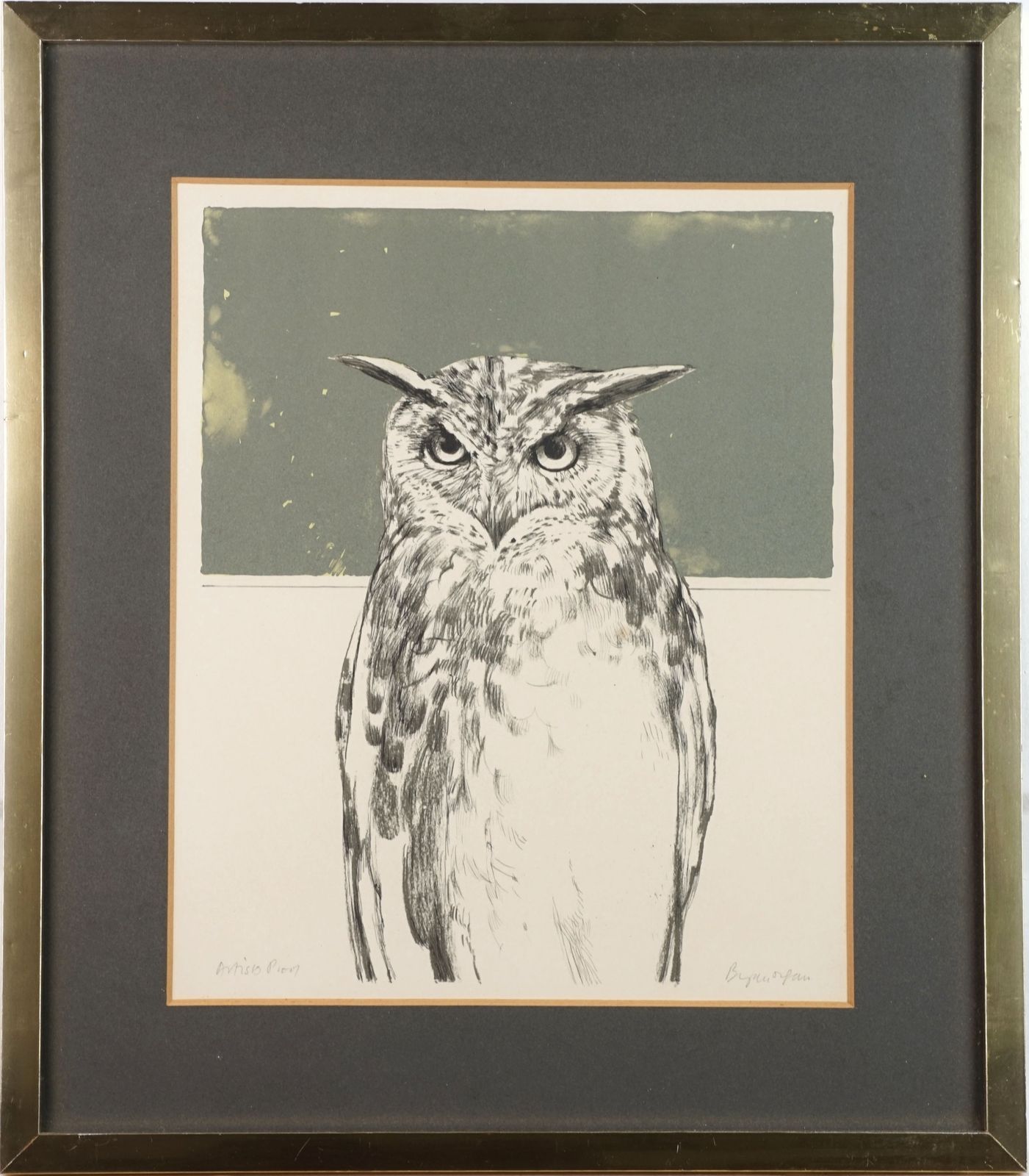 Bryan Organ, Pair Of Bird Lithographs, Peregrine Falcon And Eagle Owl photo Art