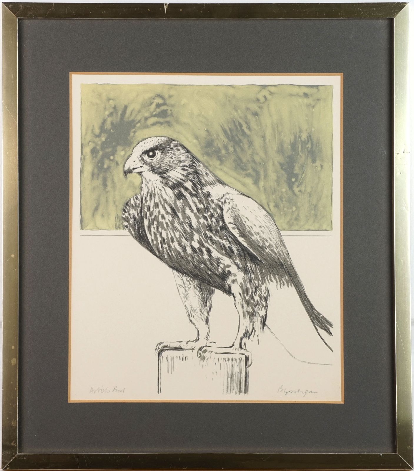 Bryan Organ, Pair Of Bird Lithographs, Peregrine Falcon And Eagle Owl photo 185.0