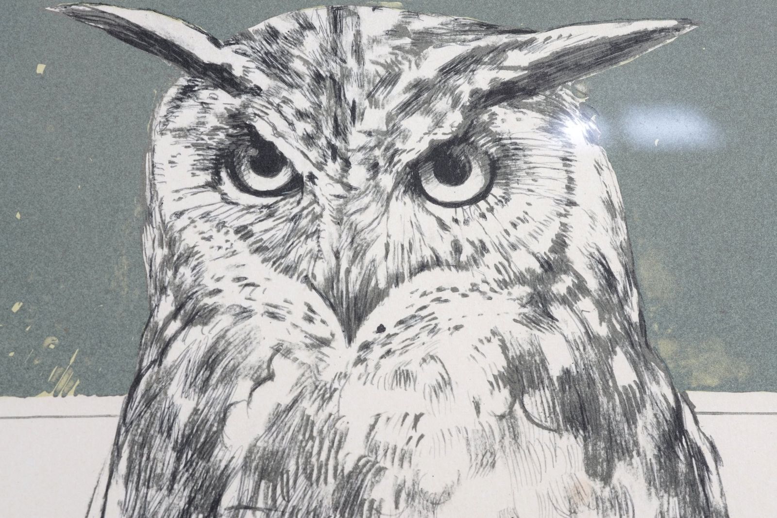 Bryan Organ, Pair Of Bird Lithographs, Peregrine Falcon And Eagle Owl photo vinterior