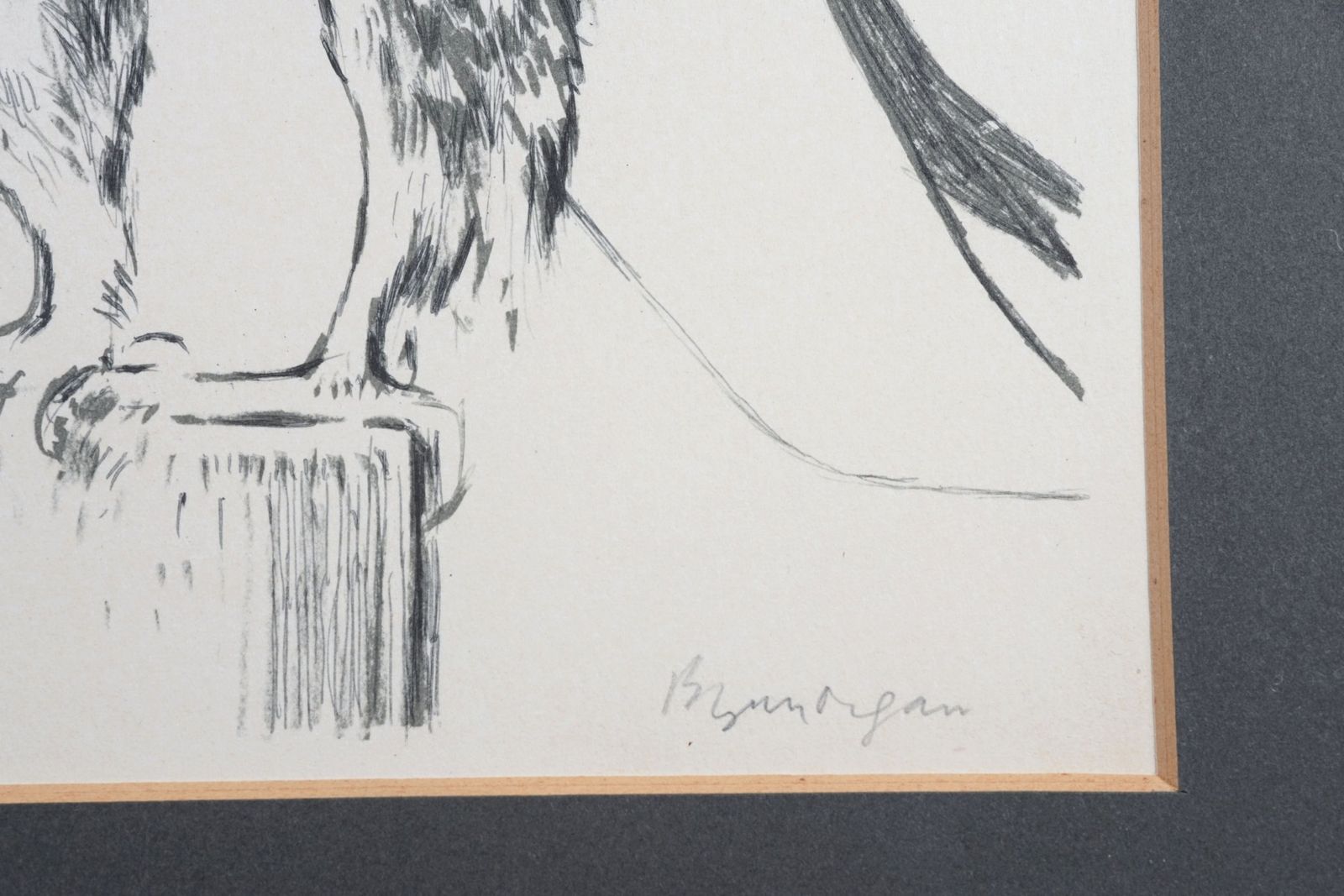 photo for sale Bryan Organ, Pair Of Bird Lithographs, Peregrine Falcon And Eagle Owl