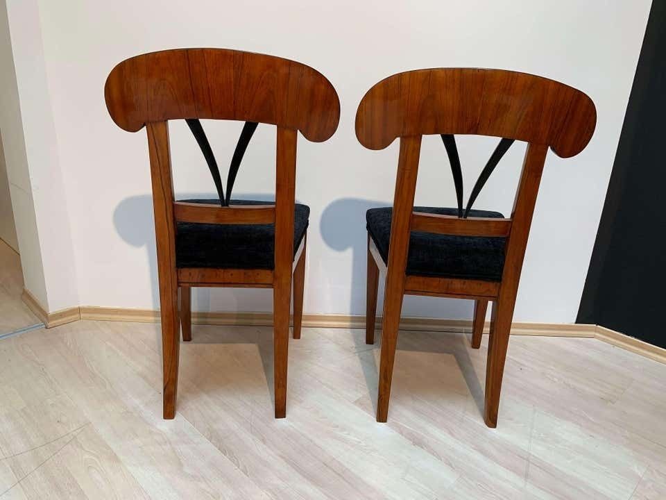 Pair Of Biedermeier Shovel Chairs Walnut, Ink Painting South Germany Ca. 1830 photo buy