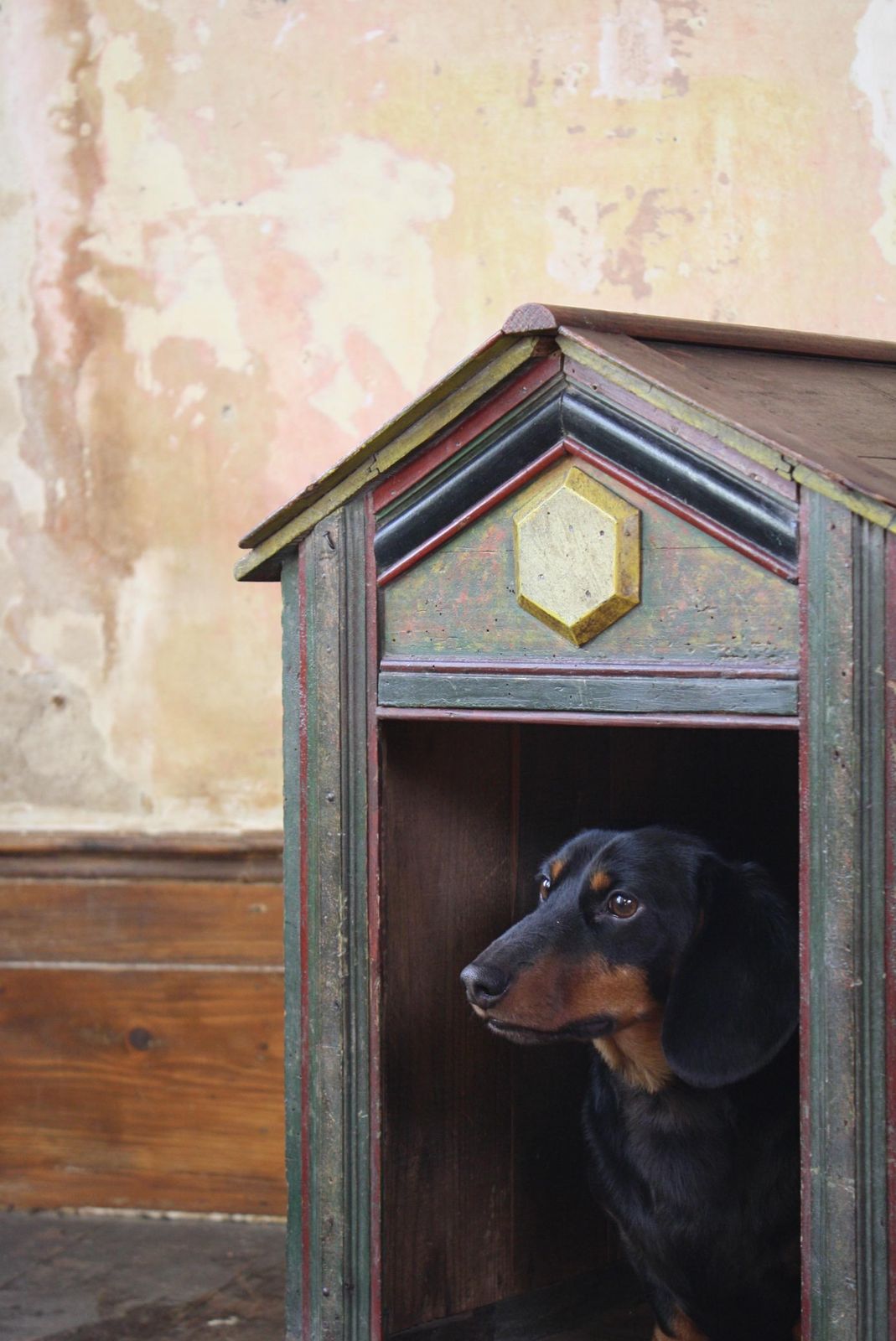 photo for sale Late 19th Century Original Painted Green Faux Marble Dog Canine Kennel